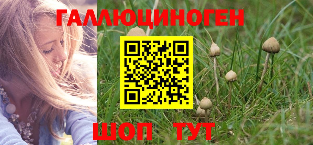 Галлюциногенные грибы GOLDEN TEACHER Осинники