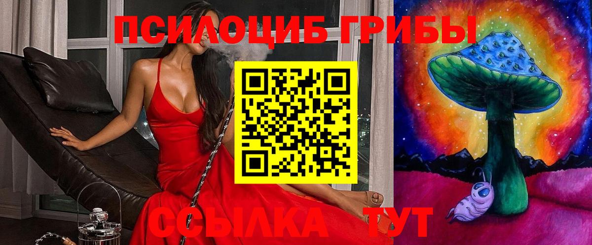 Псилоцибиновые грибы GOLDEN TEACHER  Вход с VPN  Осинники 